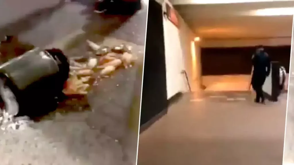Un policía tiró un bote de tamales.