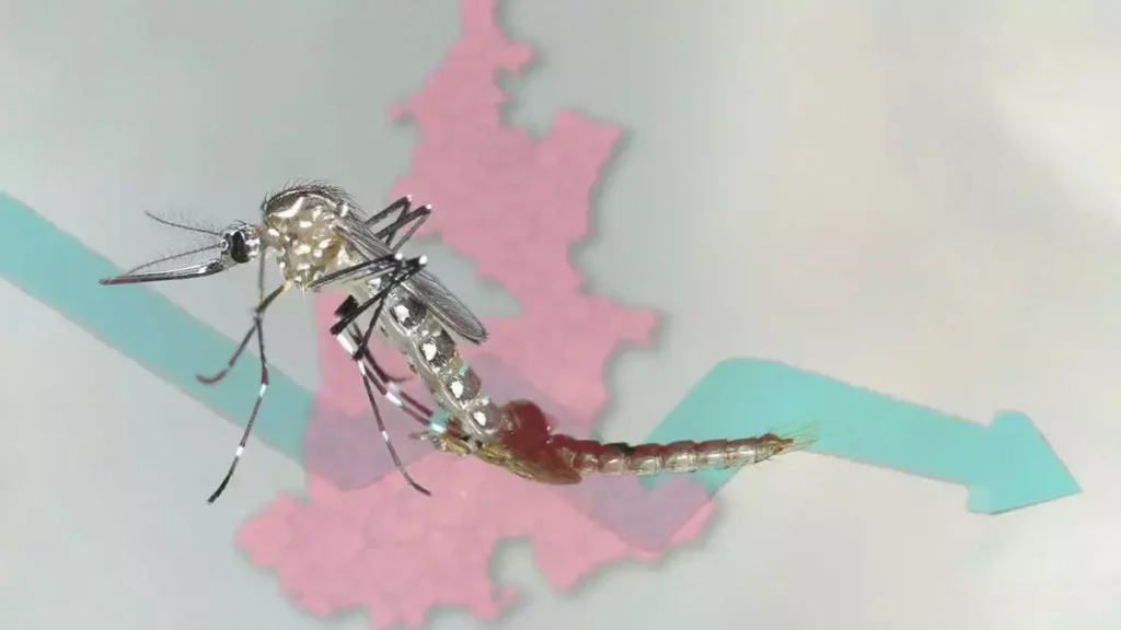 Dengue en POuebla