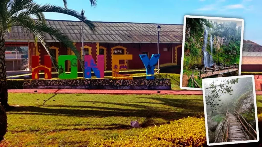 Honey Puebla