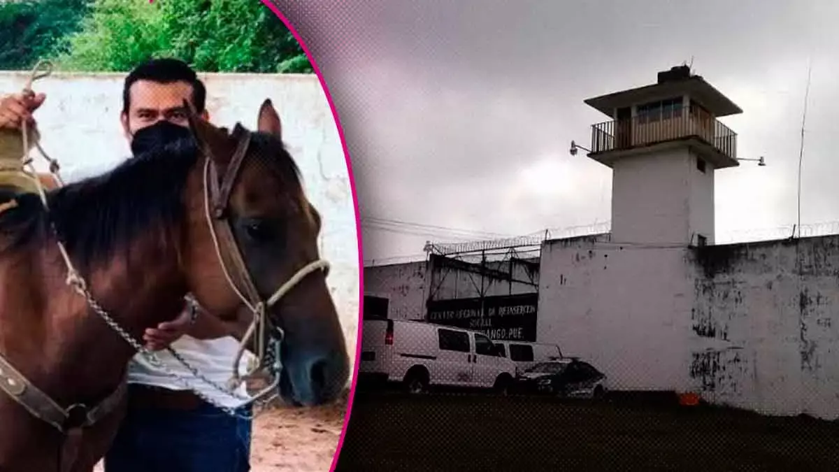 El Director del penal de Huauchinango cuida su caballo en el penal.