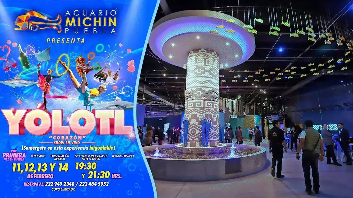 Acuario Michin