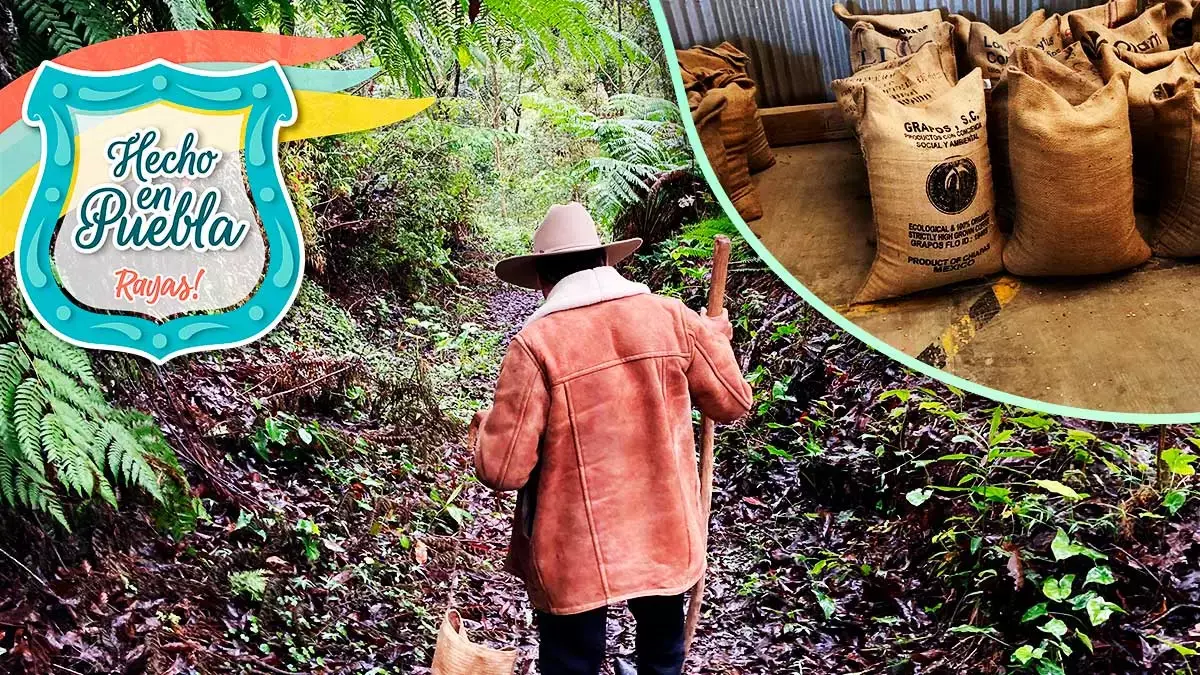 El tour de Café y Catación