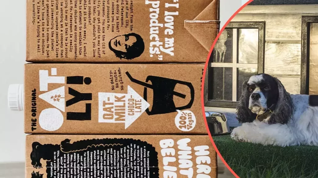 Casitas de Tetra Pak para perritos.