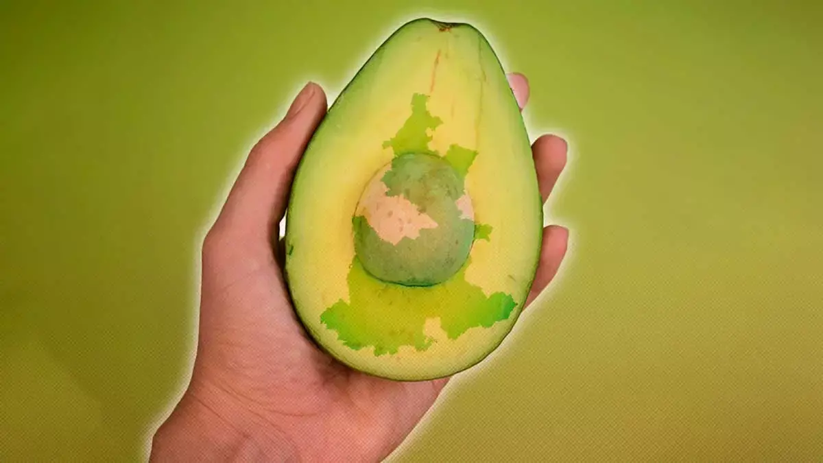 Por el aguacate poblano se detuvo la exportación
