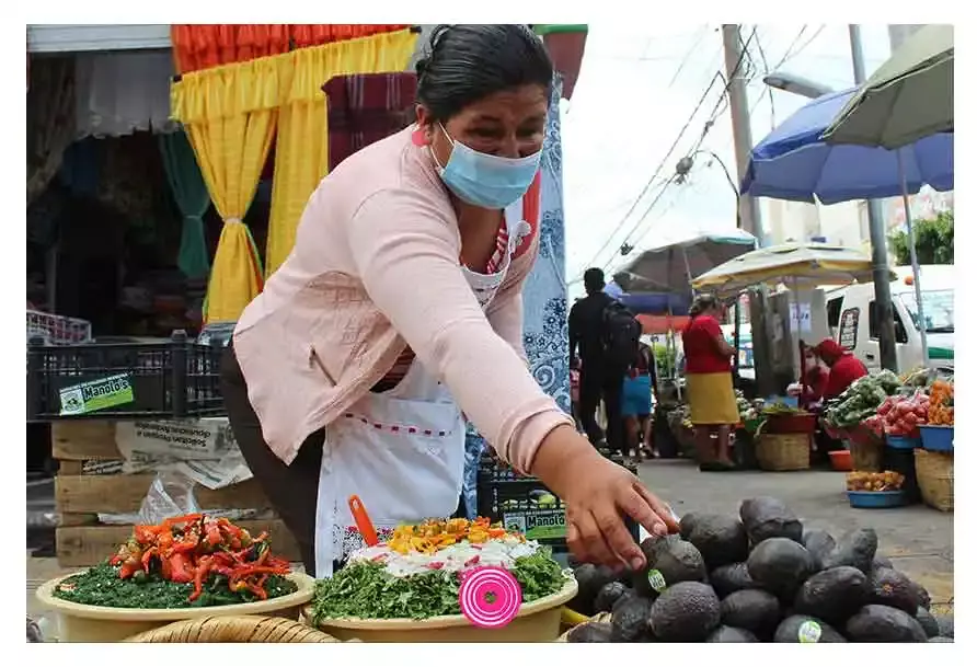 Producción de aguacate en Puebla