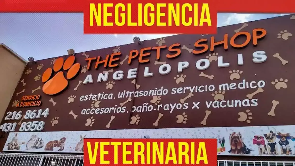 Acusan a veterinaria The Pet Shop Angelópolis de negligencia
