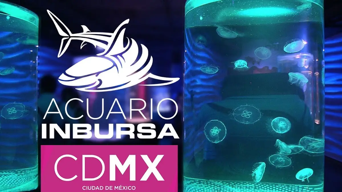 Acuario Inbursa en la CdMx.