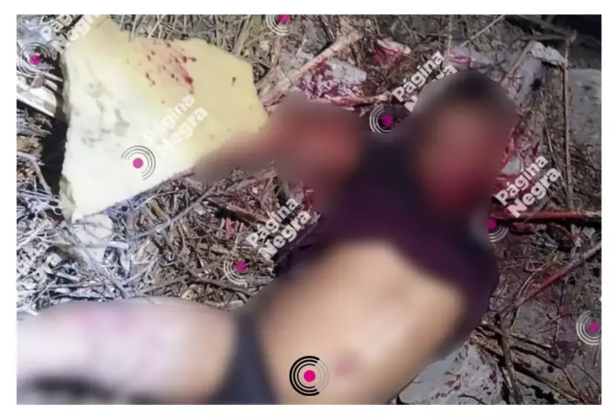 José de Jesús G.S. vivía cerca del lugar donde fue asesinado a machetazos. 