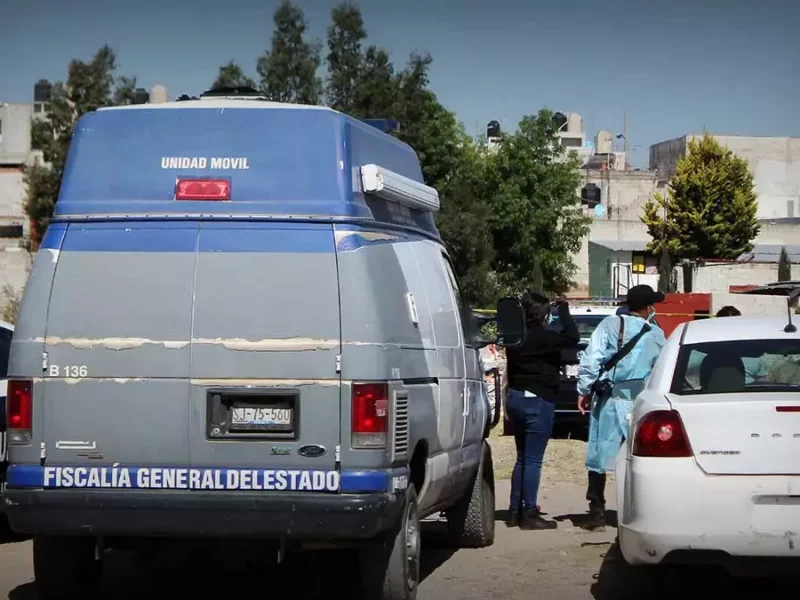 Vecinos sorprendieron a perros comiendo restos humanos en la colonia Jorge Murad.