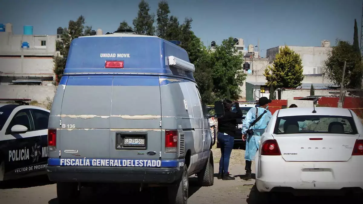Vecinos sorprendieron a perros comiendo restos humanos en la colonia Jorge Murad.