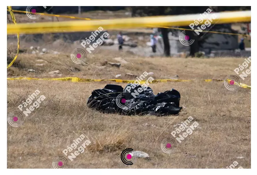 Fue una persona que caminaba por la zona quien encontró las bolsas con los  restos humanos. 