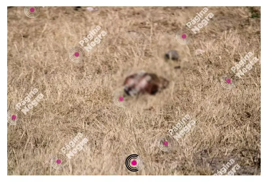 Debido a la forma en que se encontró el cadáver no se descarta que se trate de un ajuste de cuentas.