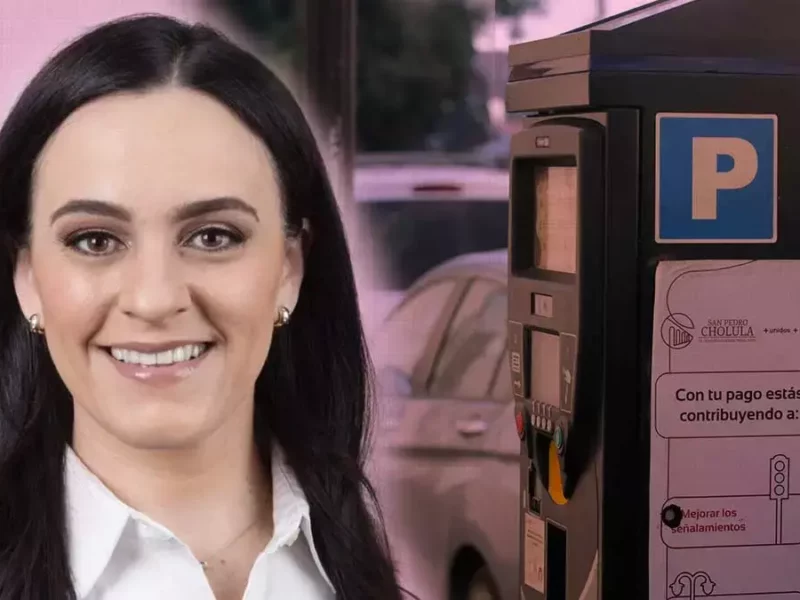 Diputada local contra parquímetros.