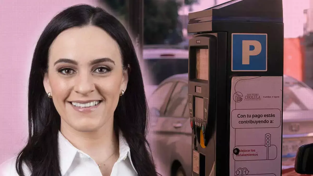 Diputada local contra parquímetros.