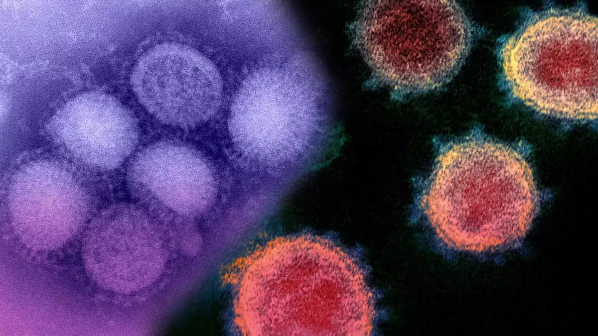 Sindemia: influenza y coronavirus.