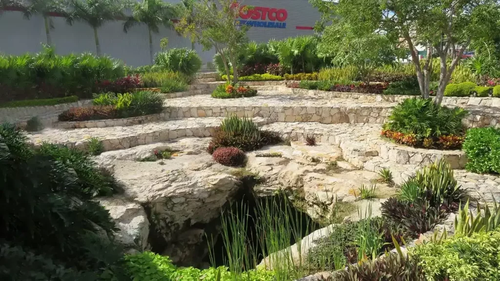 Cenote de Costco