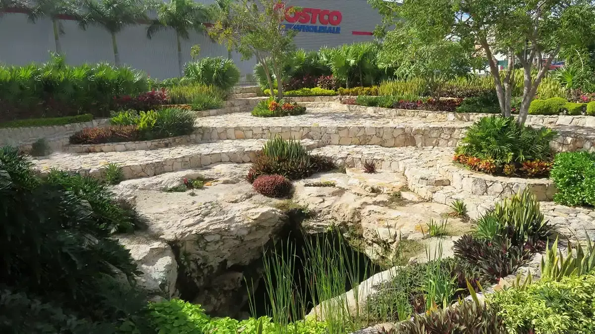 Cenote de Costco