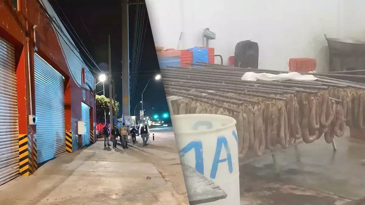 Rastro ilegal en San Jerónimo Caleras.