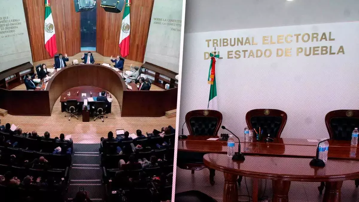 Ellas son las magistradas del TEEP que aspiran a la sala regional del TEPJF