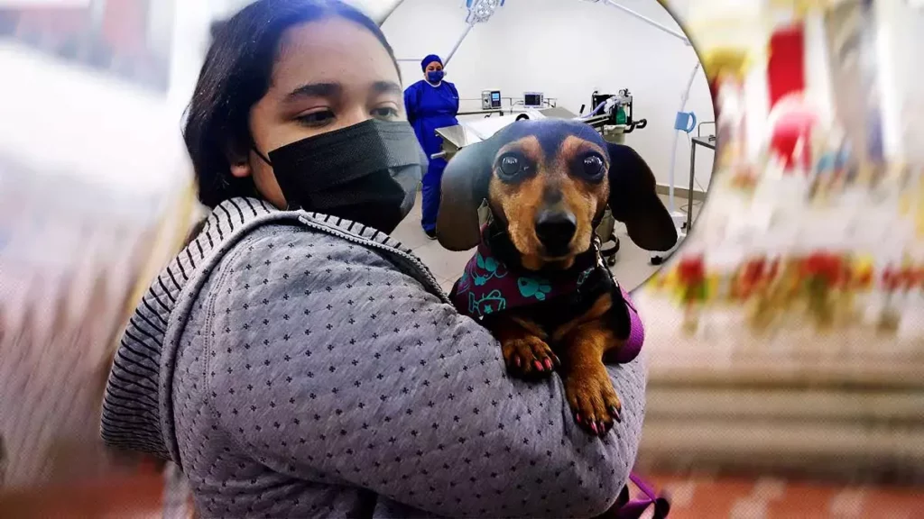 Abre sus puertas la Clínica de Bienestar Animal de Casa Puebla; estos son los costos 