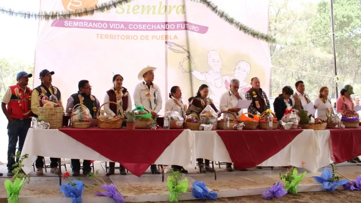 Realizan Tercera Jornada de Reforestación "Sembrando Vida" en Libres.