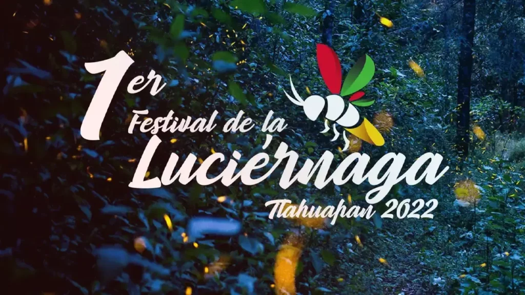 Santa Rita Tlahuapan tendrá su "Primer Festival de la Luciérnaga".