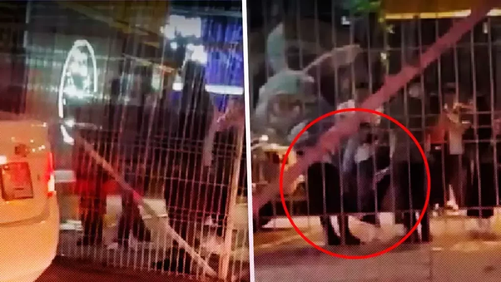 Temen venta de alcohol adulterado en bares de Container City