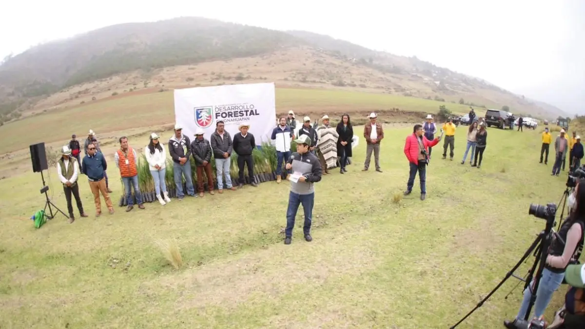Lorenzo Rivera reforesta con 3 mil árboles ejido de Ajolotla, Chignahuapan.