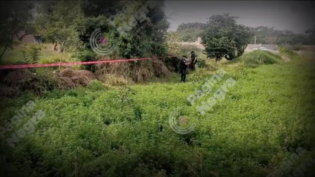 Encuentran cabeza humana en Huaquechula.