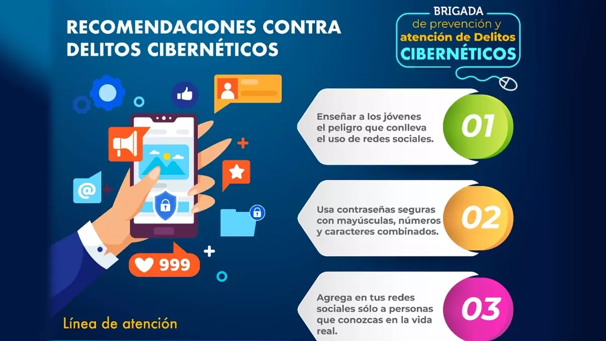 delitos cibernéticos la SSPPC