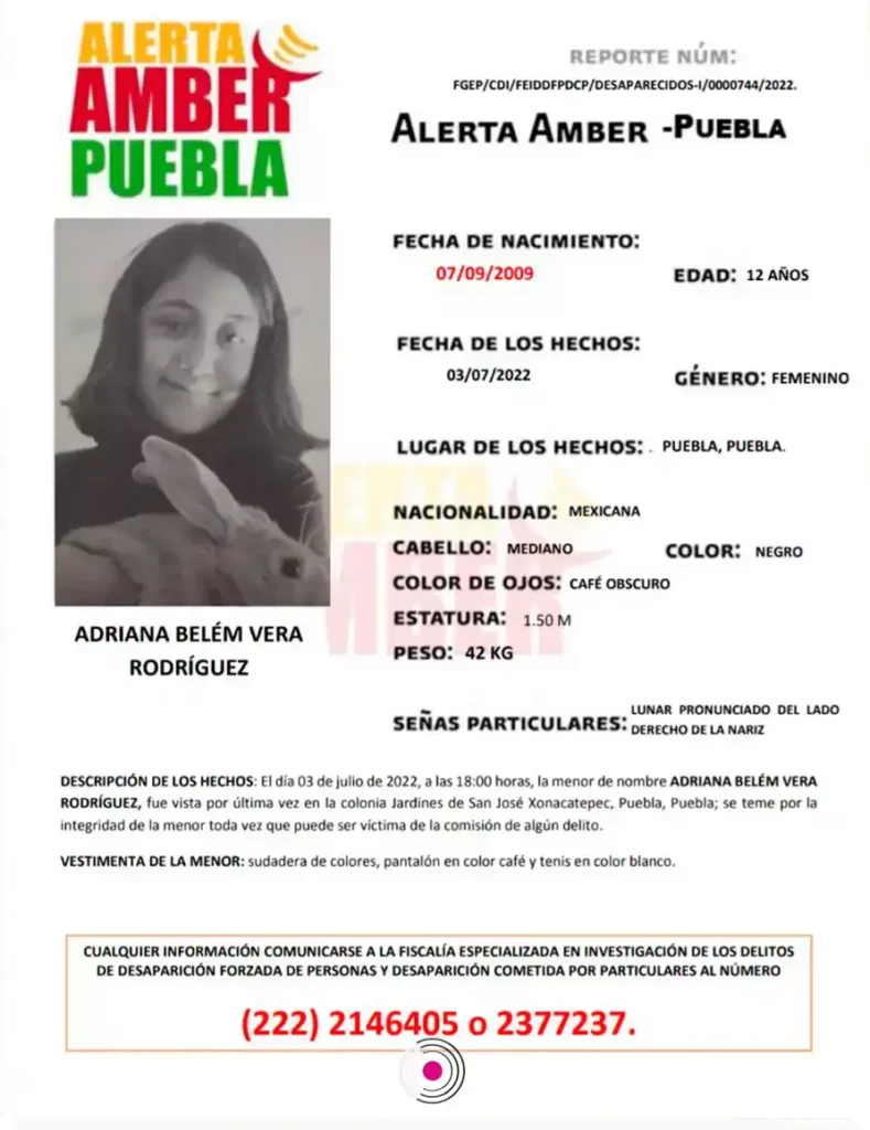Adriana Vera desapareció en Jardines de San José Xonacatepe.