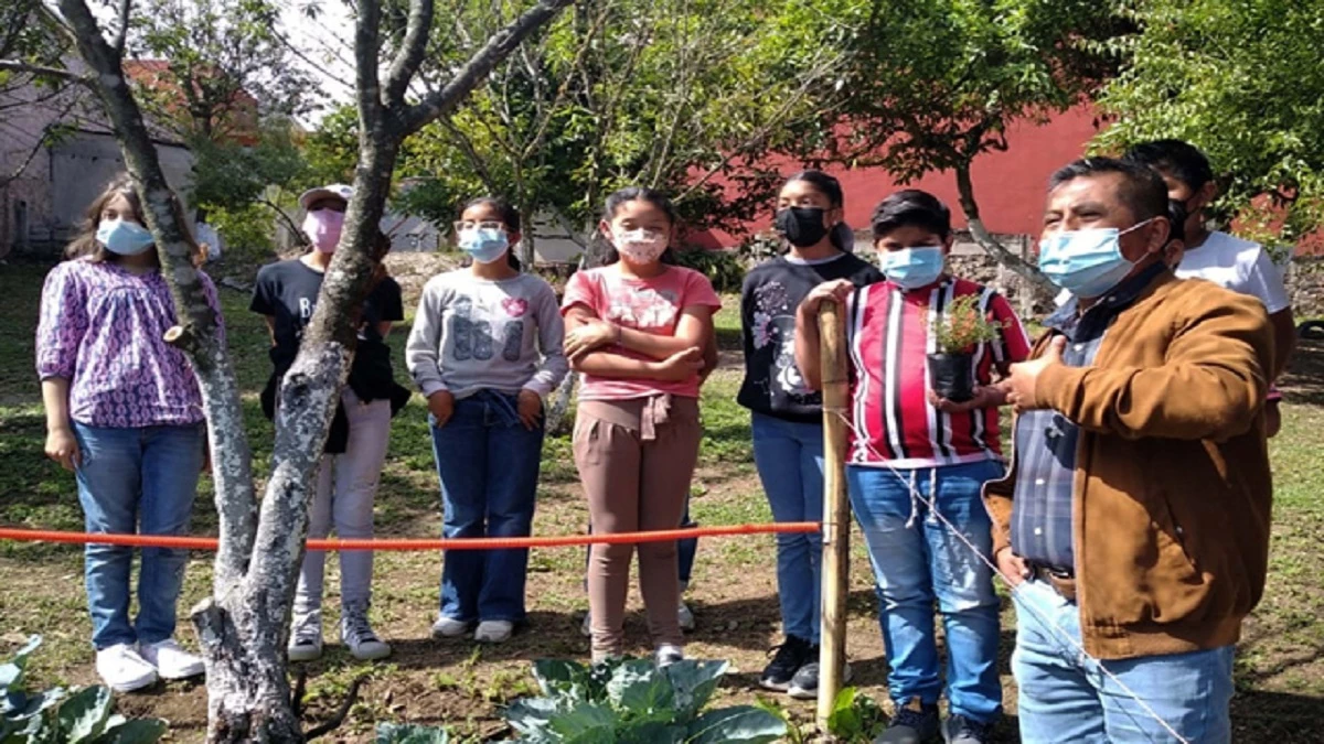 Huertos Escolares buap