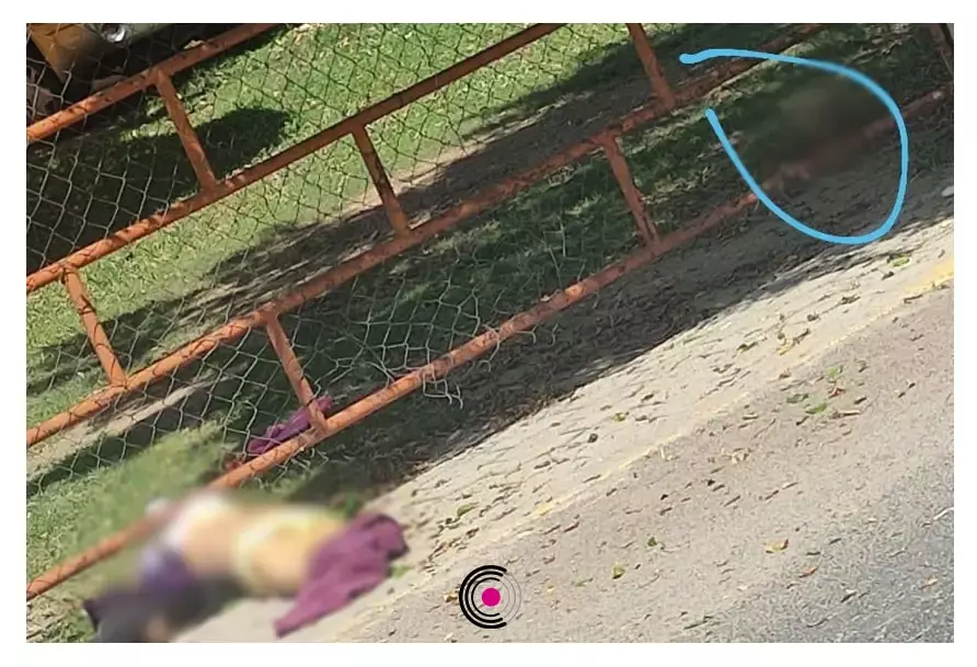La banda de “Los Salazar” estuvo involucrada en la balacera.