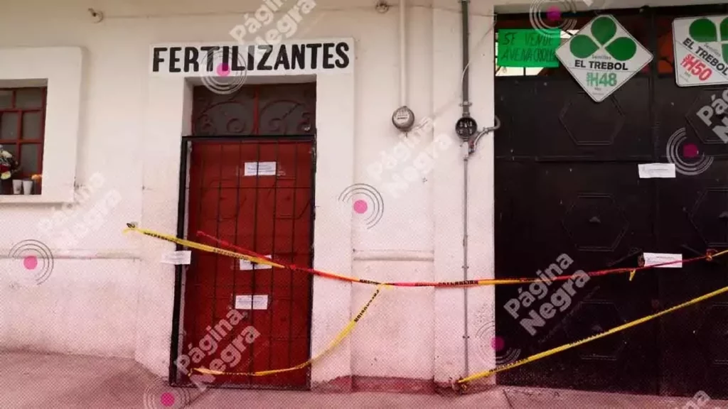 Comerciante de la tercera edad es asesinada en Rafael Lara Grajales.