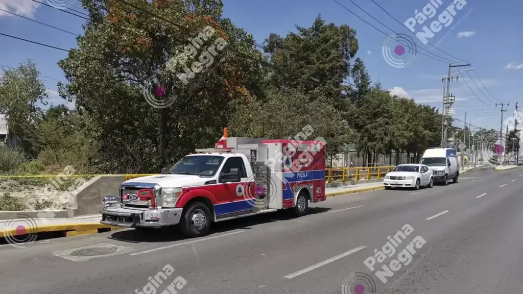 Se quita la vida al colgarse de un árbol en Bosques de Manzanilla, Puebla.