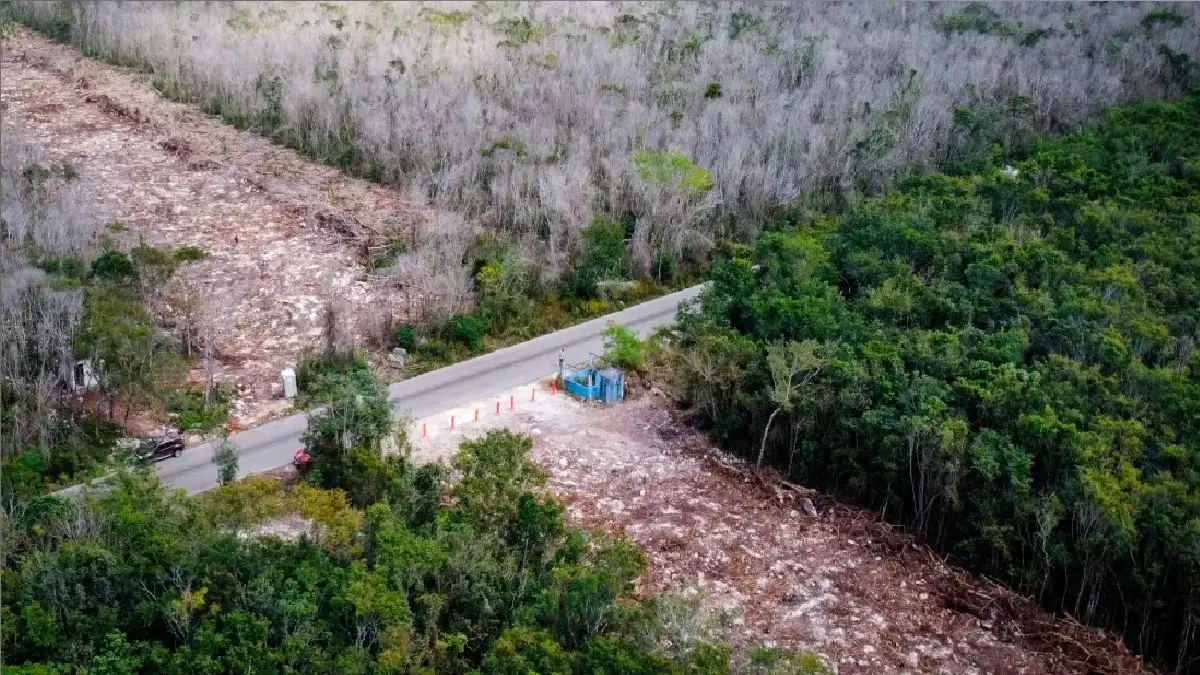 Tras denuncias de activistas, Tren Maya ahora es una obra de seguridad nacional