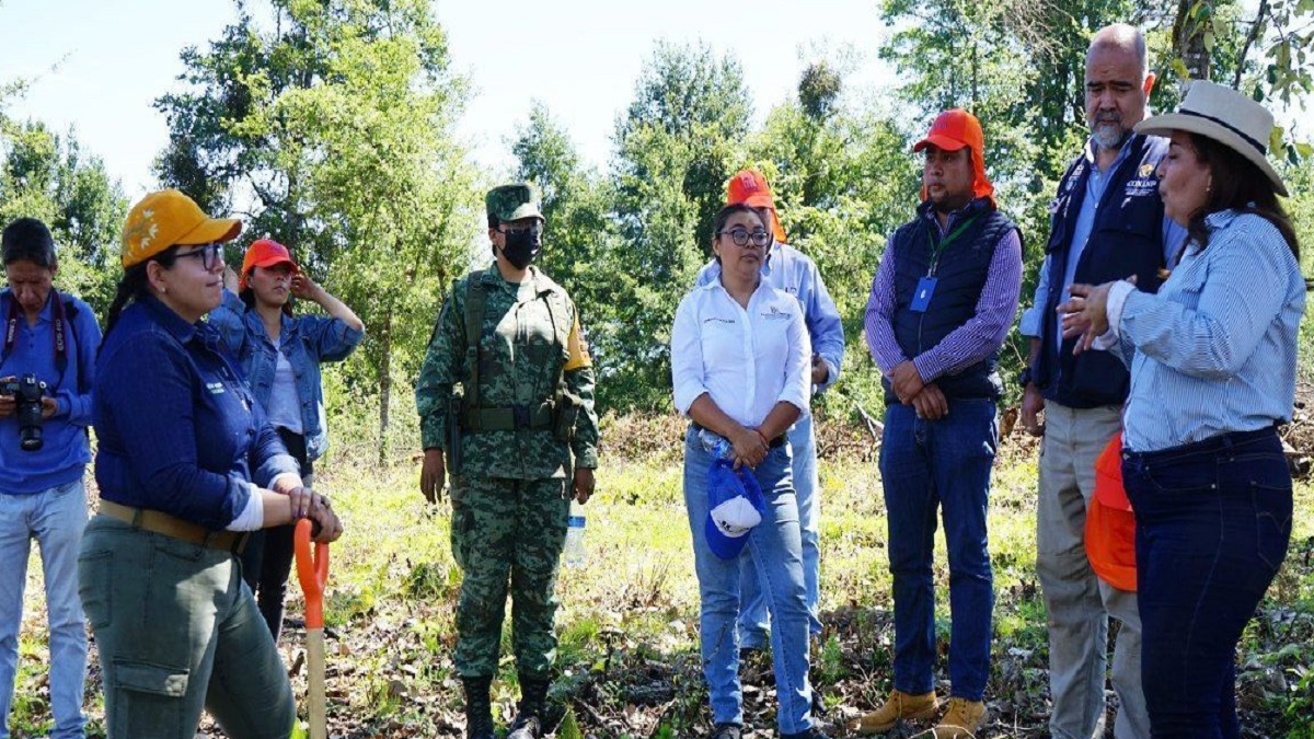 Ayuntamiento de Xicotepec, gobierno de puebla e iniciativa privada reforestan 10 mil árboles en puente de rieles