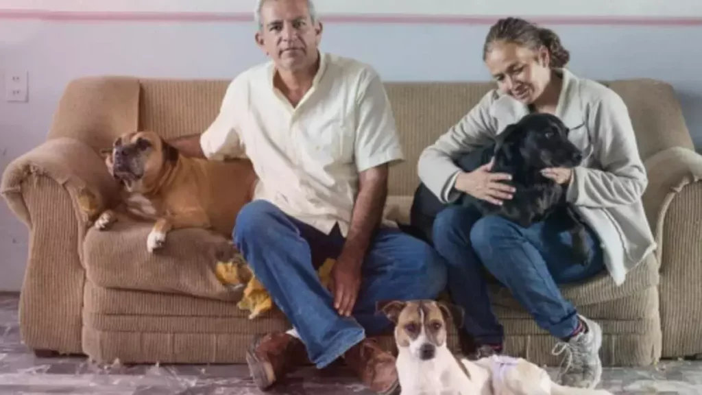 Apoya al Refugio de Monty, donde perros de Puebla tienen otra oportunidad de vida.