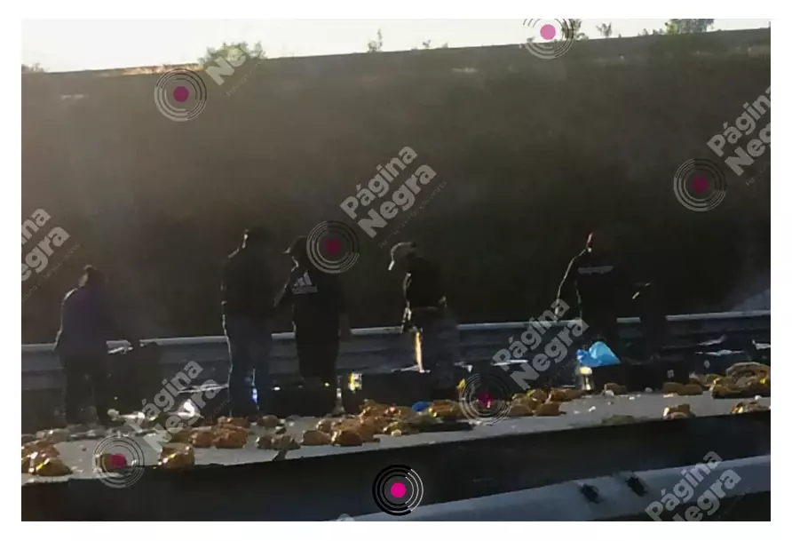 El vehículo transportaba pollo congelado.