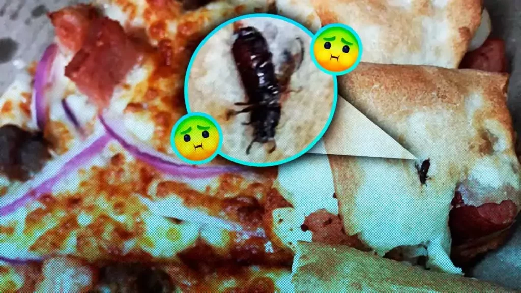 Casi cuando acababan con las rebanadas de pizza, se dieron cuenta que había una cucaracha incrustada en la masa