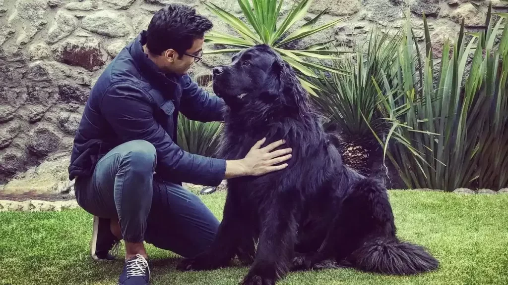 Carlos Rivera tiene el corazón roto, murió su perro 'Bono Bonito'