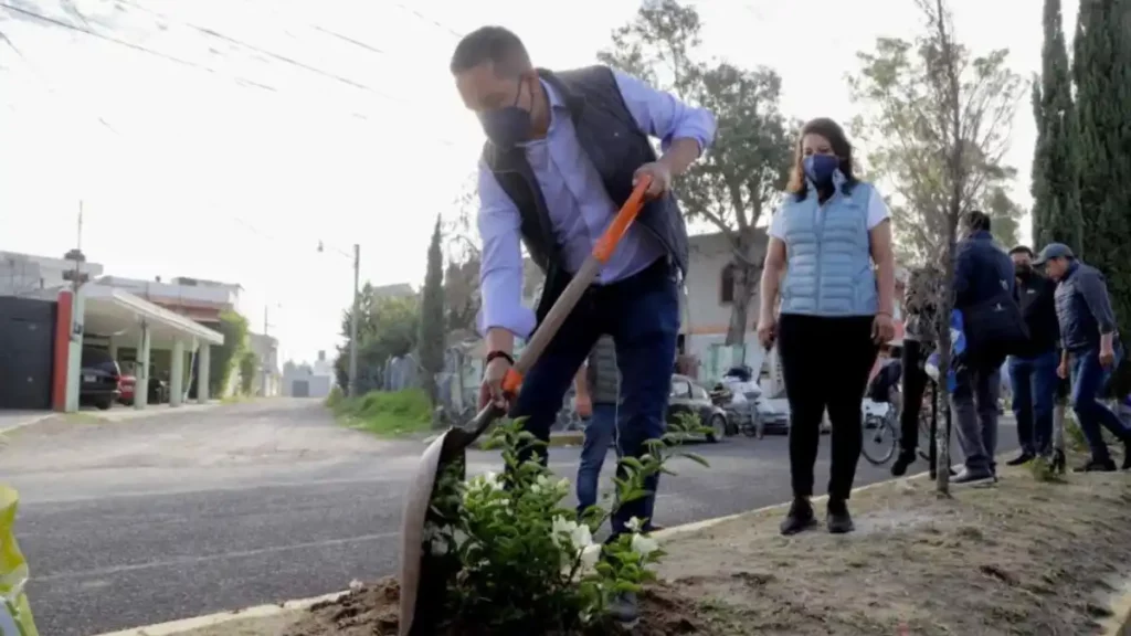 Realiza ayuntamiento de San Andrés Cholula segunda etapa de reforestación en Radial a Zapata