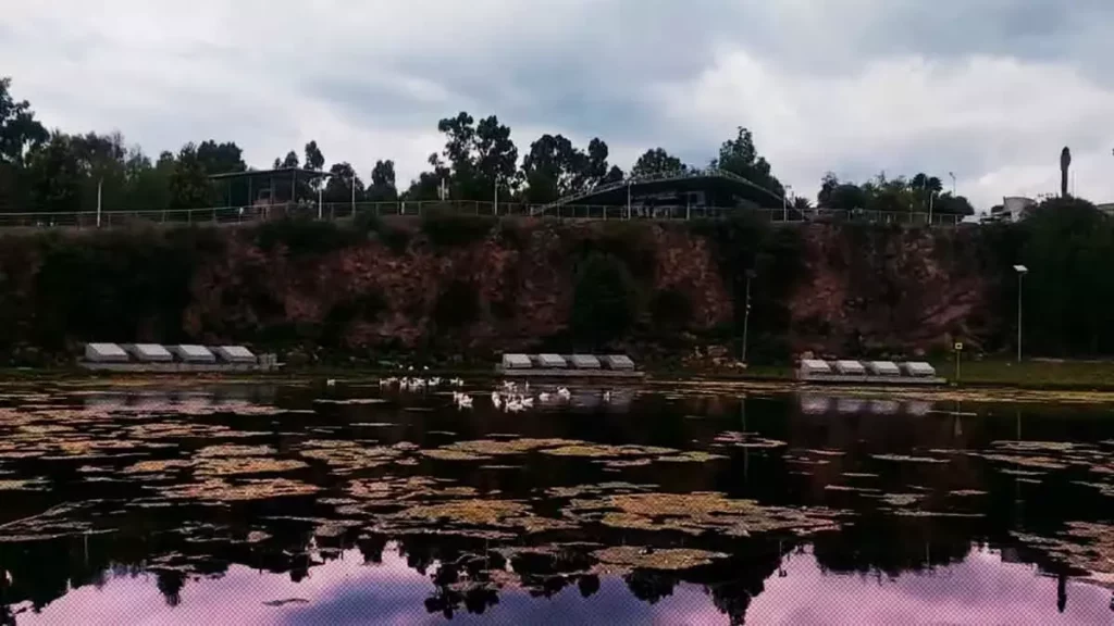 Lago “La Concordia” luce olvidado, sucio y descuidado  