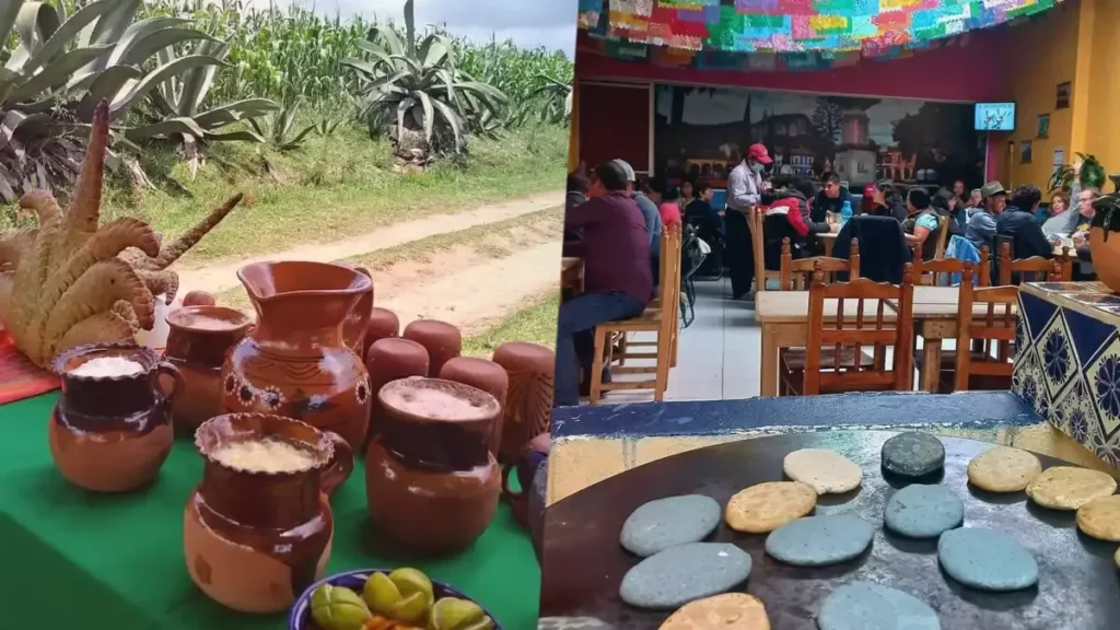Tlatlauquitepec:  Visita su 'Feria del Maguey y la Nuez'