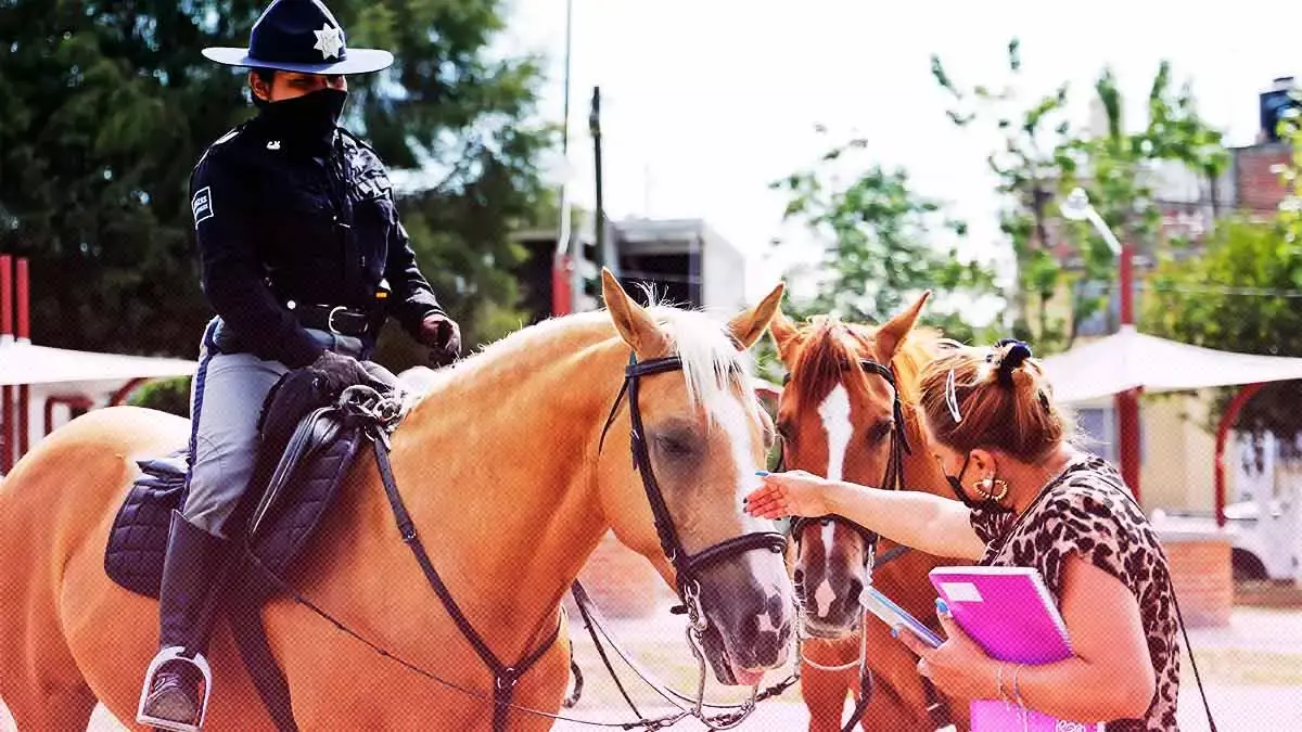 Con Licenciatura en Materia Ecuestre se profesionaliza Policía Montada de San Andrés Cholula