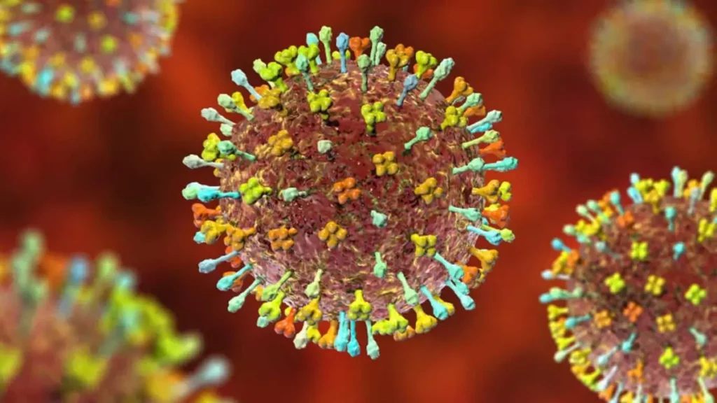 ¿Otro virus en China? Sí, es el henipavirus; ya contagió a 35 personas.