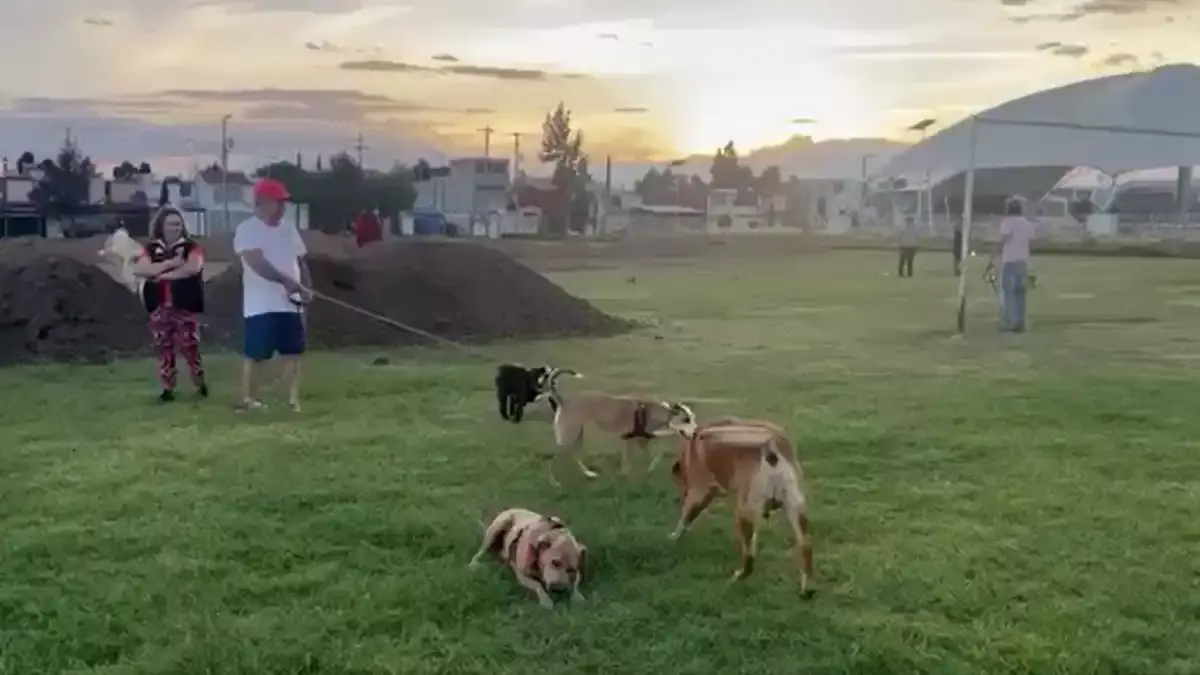 Perritos y sus propietarios piden al gobernador que no les arrebaten parque en Cuautlancingo