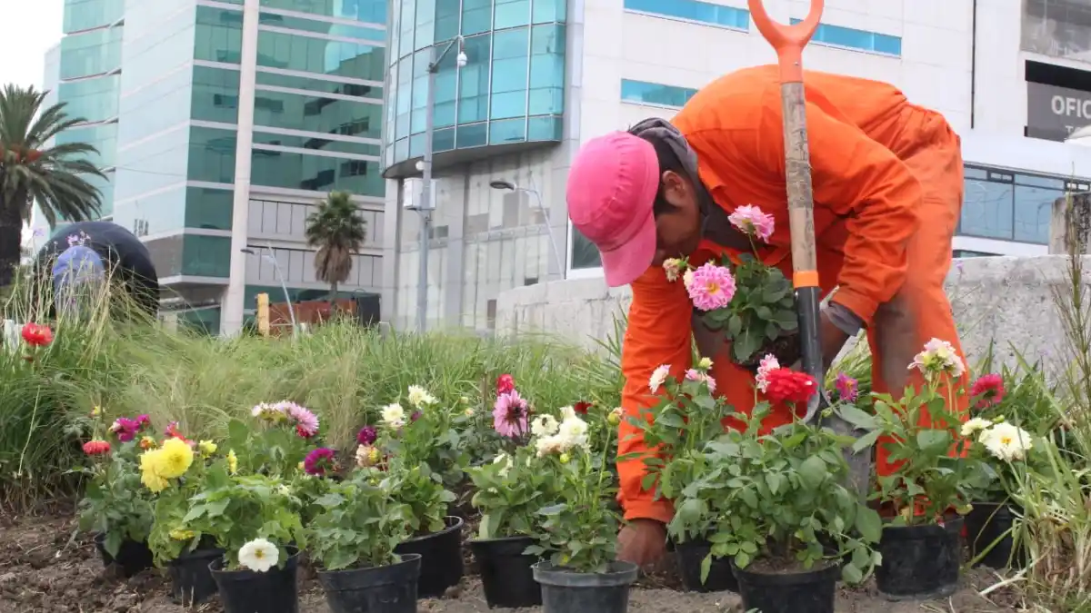 Con visión ambiental el Ayuntamiento de Puebla remodela la Avenida Juárez