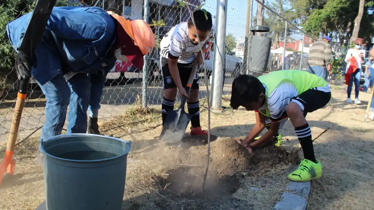 Con 14 mil árboles sembrados, Puebla se llena de "Aire joven"