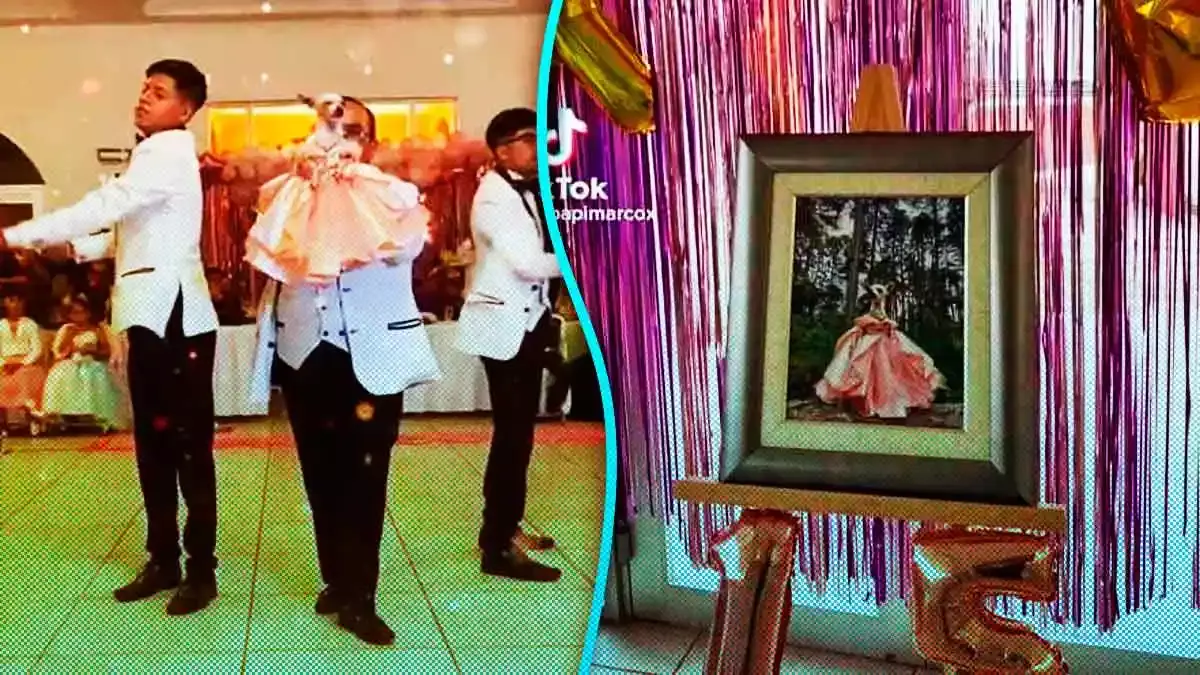 Mexicanos celebran los XV años a su perrita chihuahua con todo y chambelanes